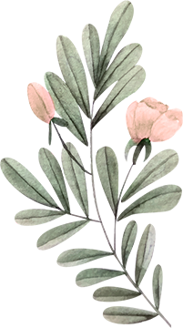 Tại Sao Chọn Chúng Tôi